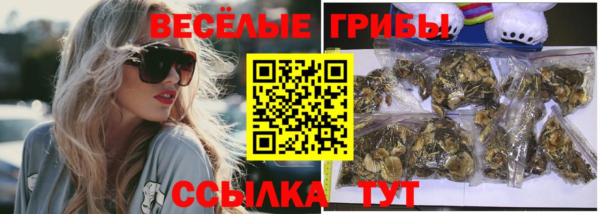 Нижневартовск  наркошоп  Вход с VPN  Псилоцибиновые грибы Psilocybe  Псилоцибиновые грибы Cubensis 